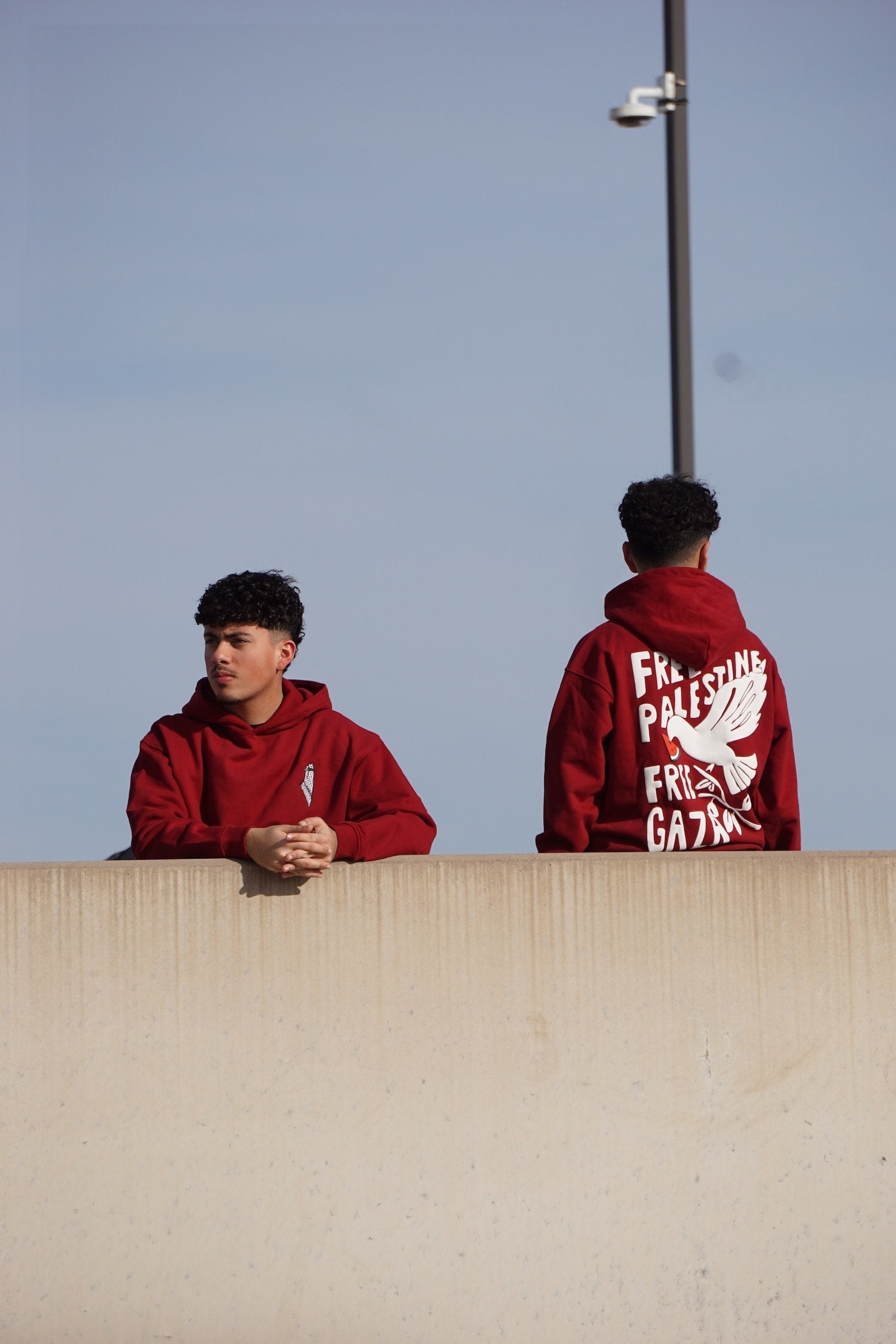 Wings of Hope Oversized Hoodie